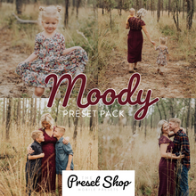 Load image into Gallery viewer, The Preset Shop Bundle - 13 Presets! Best Value!
