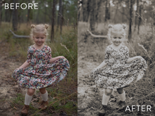 Load image into Gallery viewer, Moody Preset Pack | The Preset Shop