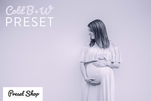 Load image into Gallery viewer, Cool Hues Preset Pack | The Preset Shop