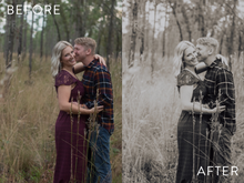 Load image into Gallery viewer, Moody Preset Pack | The Preset Shop
