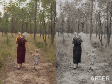 Load image into Gallery viewer, Moody Preset Pack | The Preset Shop