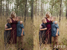 Load image into Gallery viewer, Moody Preset Pack | The Preset Shop