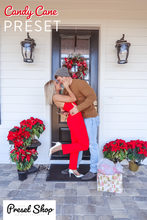 Load image into Gallery viewer, Tanner Mann's ⚡️ Holiday Preset Collection | @TANNERMMANN