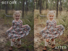 Load image into Gallery viewer, Moody Preset Pack | The Preset Shop