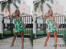 Load image into Gallery viewer, Danyelle Noble's Preset Collection | @_FASHIONABLYNOBLE_
