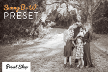 Load image into Gallery viewer, Sunset Preset Pack | The Preset Shop