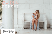 Load image into Gallery viewer, Muted Preset Pack | The Preset Shop