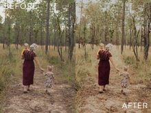 Load image into Gallery viewer, Moody Preset Pack | The Preset Shop