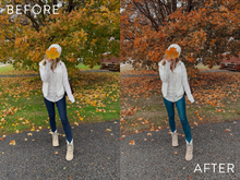 Load image into Gallery viewer, Kristin Pressley's Fall Preset Collection | @KRISTINCPRESSLEY