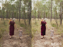 Load image into Gallery viewer, Moody Preset Pack | The Preset Shop
